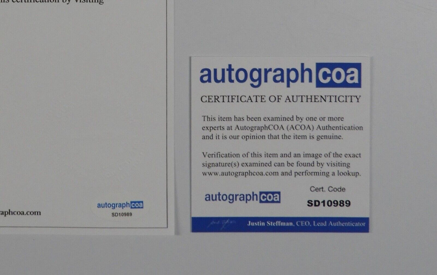 44264004