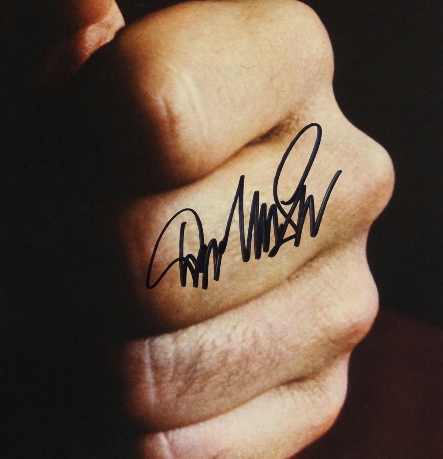 Don Mclean JSA Signed Autograph Album Record Vinyl American Pie