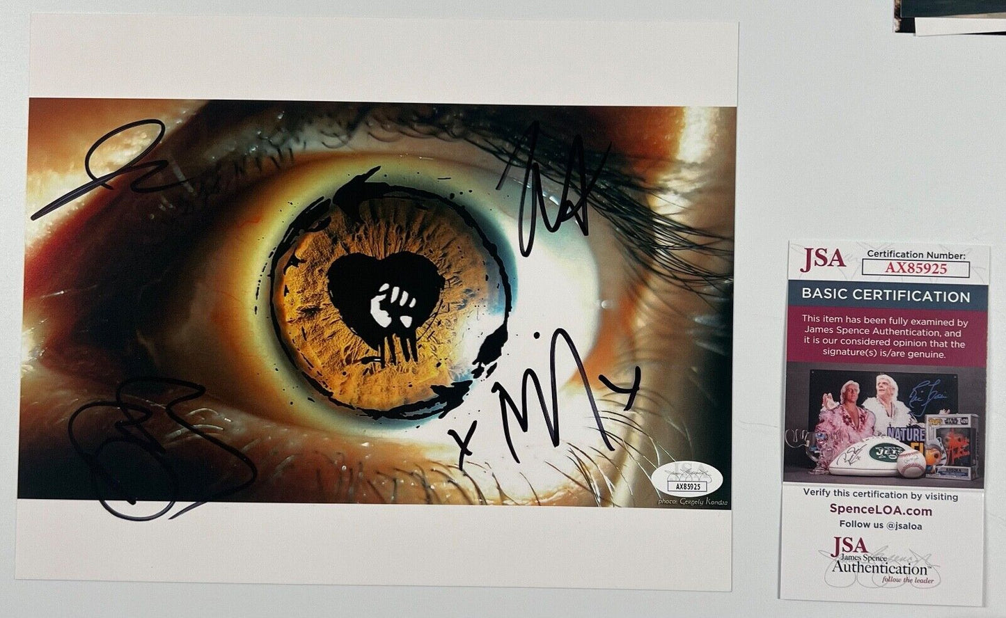 Rise Against Fully JSA Signed Autograph 8 x 10 photo