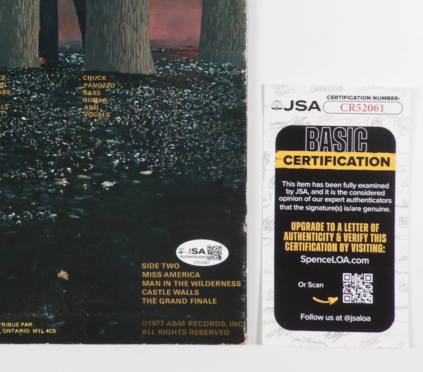 47563269