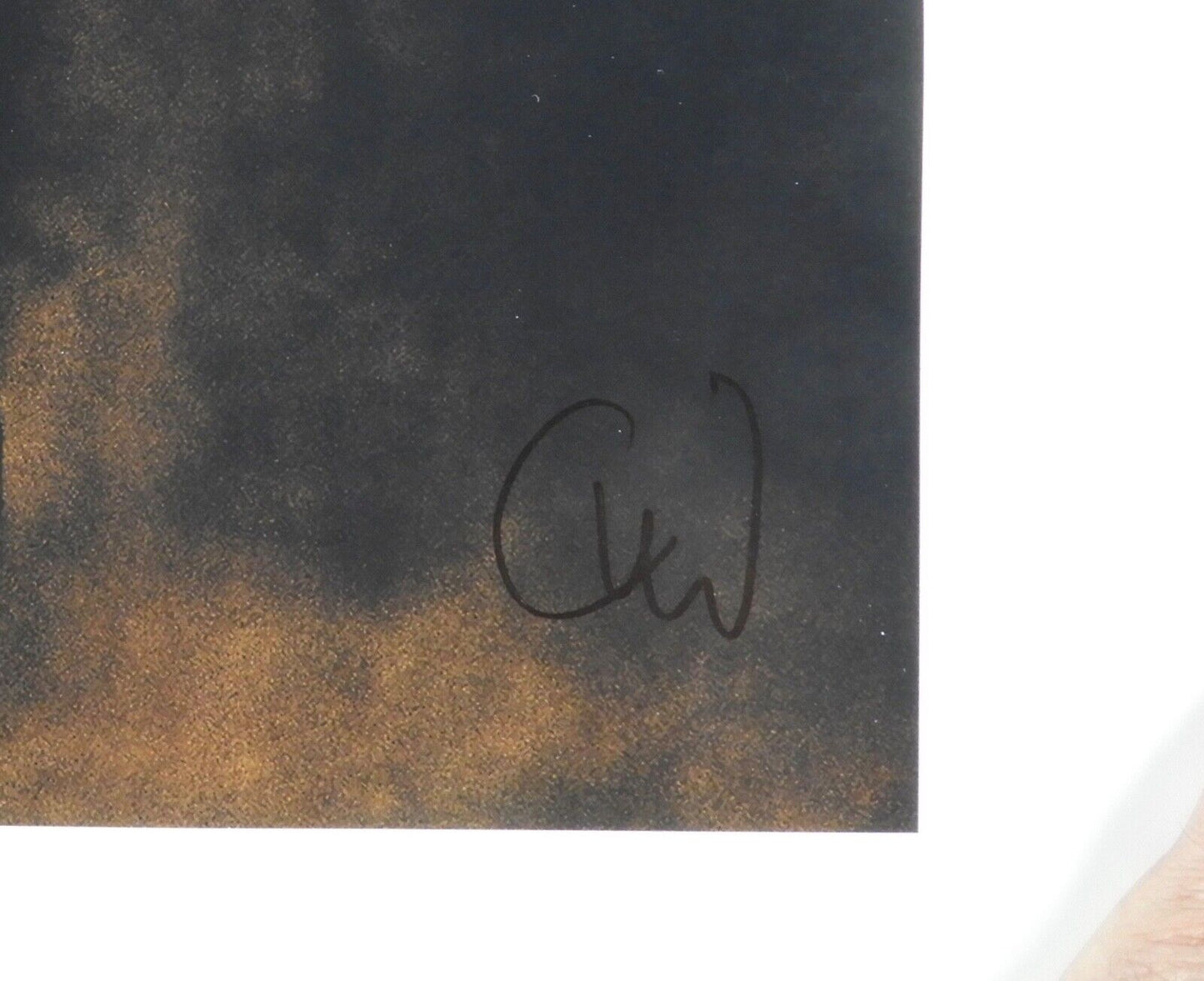 Christoph Waltz JSA Signed Autograph Photo 11 x 14 Django Unchained