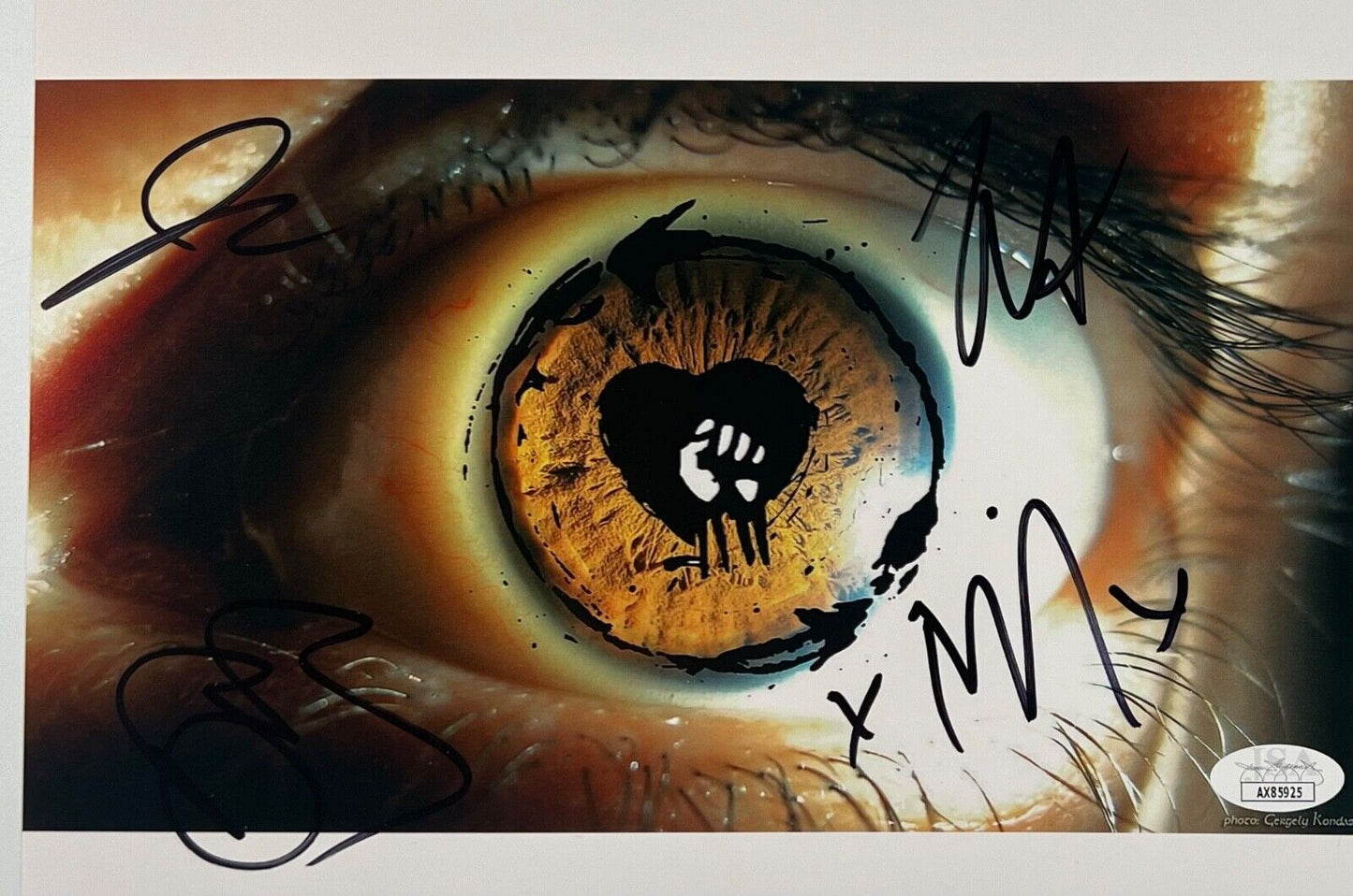 Rise Against Fully JSA Signed Autograph 8 x 10 photo