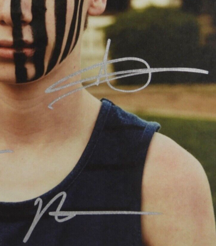 Fall Out Boy JSA Fully Signed Autograph Album Record Vinyl American Beauty