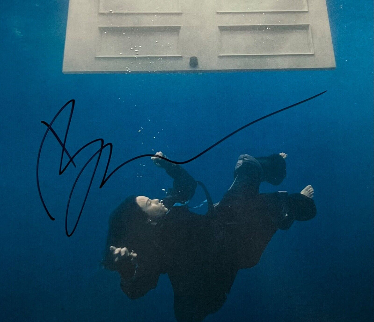 43895888
