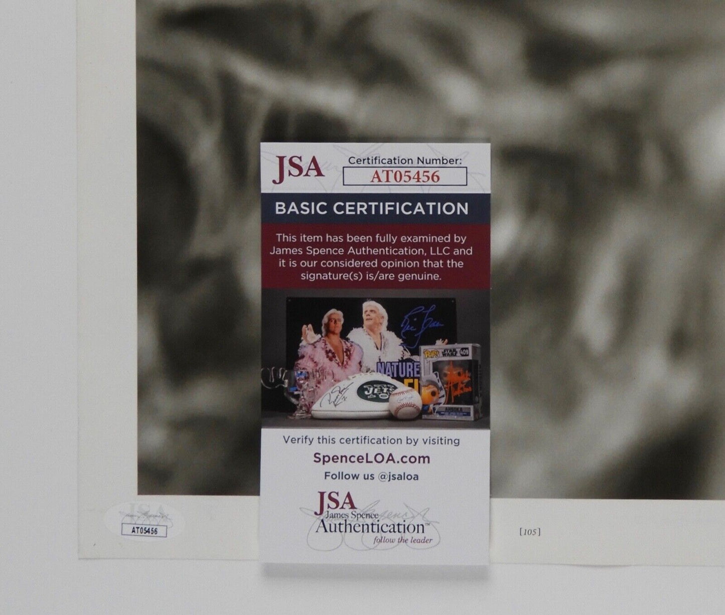 The Black Crows Autograph Signed Magazine Photo JSA 11 x 14 Chris Rich Robinson