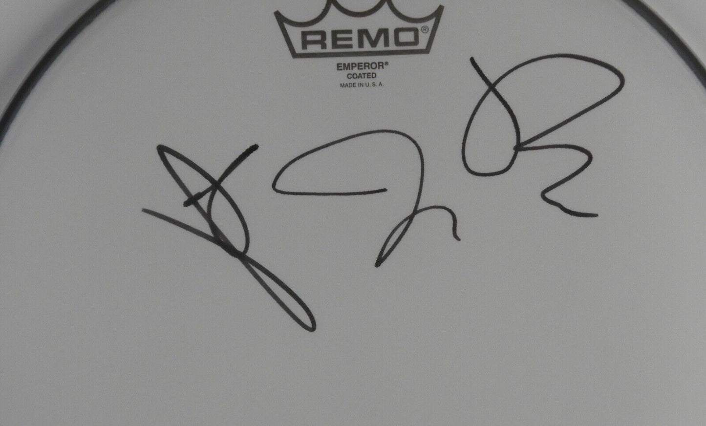 Fall Out Boy JSA Signed Autograph Drum Head 12"