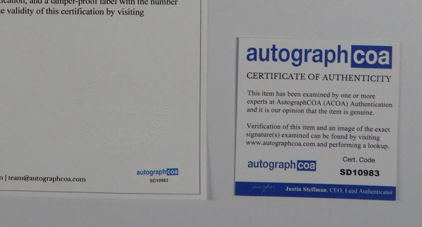 44264019