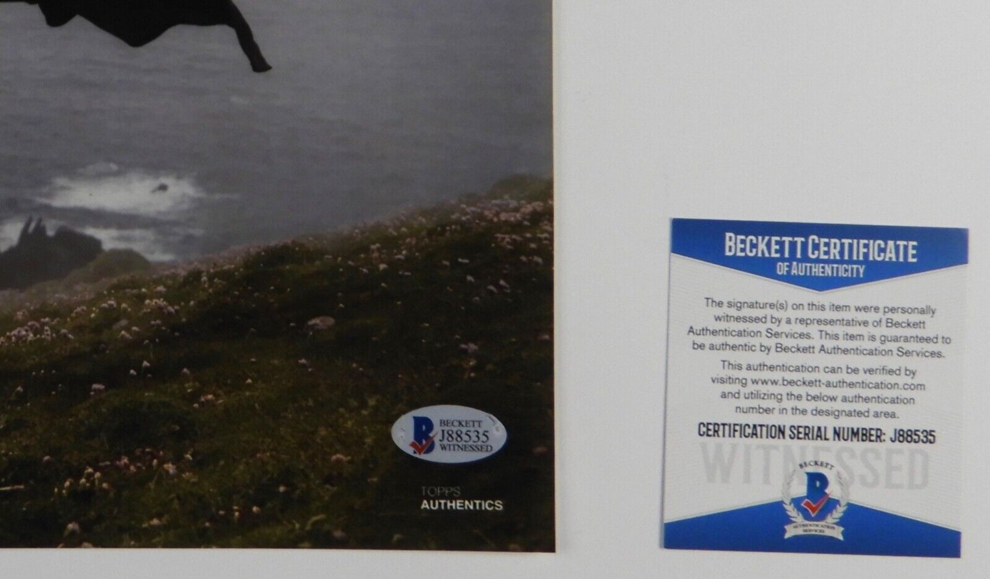 Star Wars The Last Jedi Daisy Ridley Autograph Signed 11 x 14 Beckett