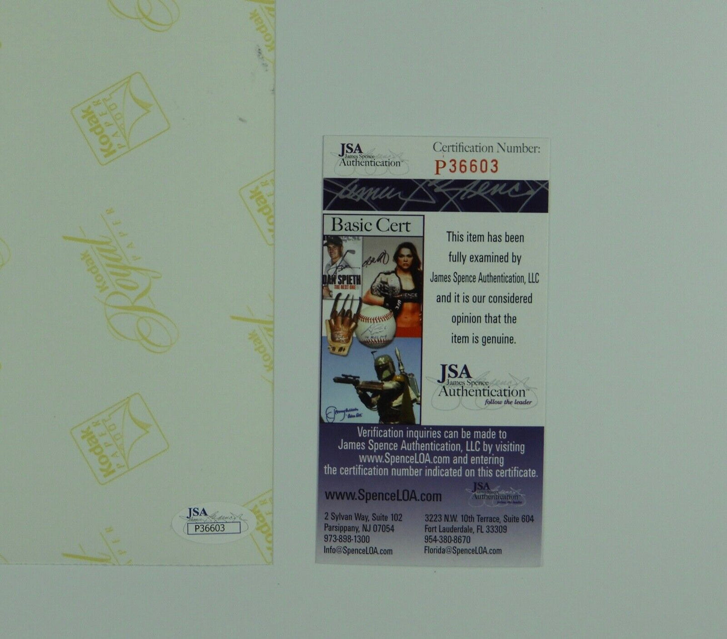 Christopher Eccleston Doctor Who Autograph Signed Photo JSA Photo 8 x 10