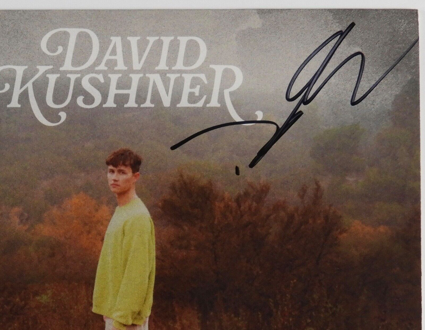 David Kushner Signed Autograph Record Album Footprints I Found Colored Vinyl