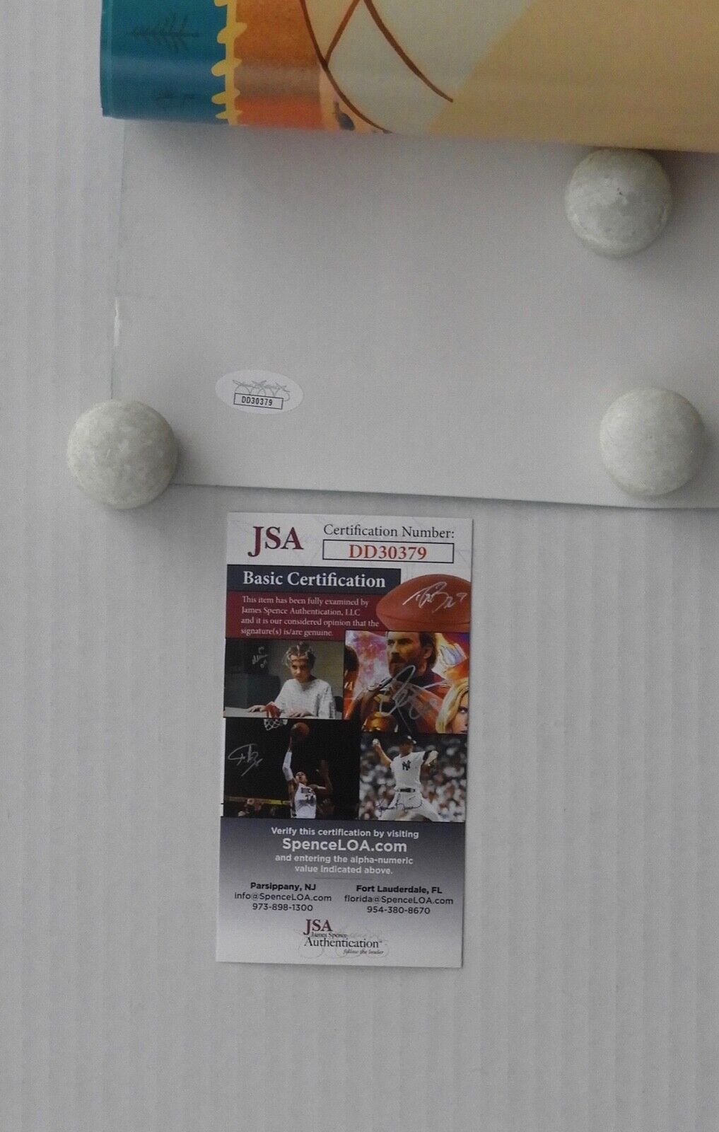 Irene Bedard Pocahontas JSA Signed Autograph Poster
