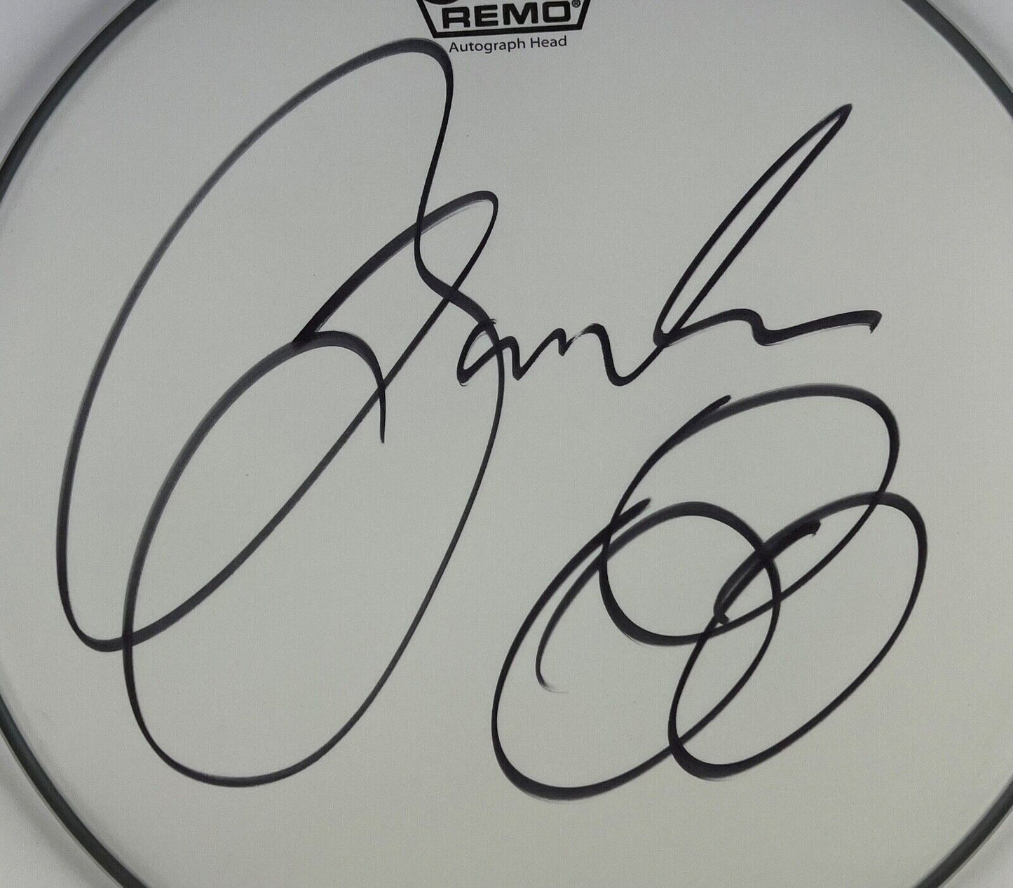 Jason Bonham Autograph Signed Drumhead JSA COA 14"