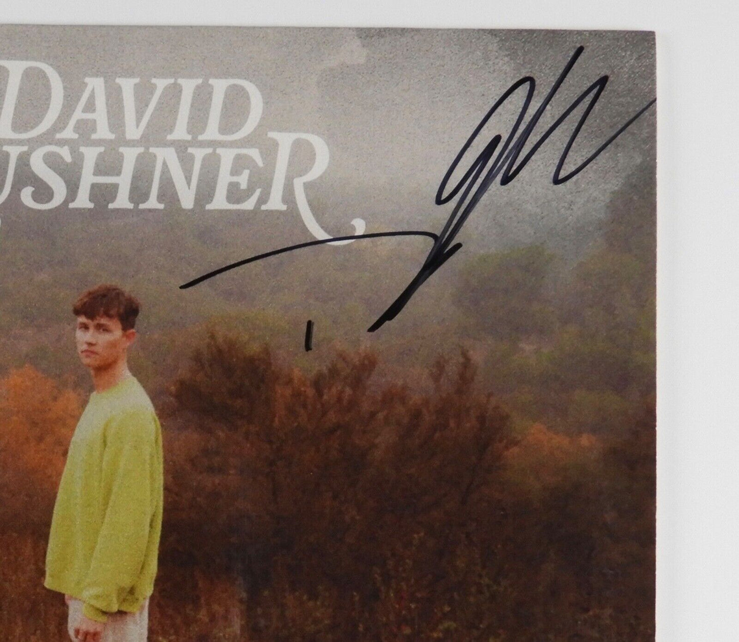 David Kushner Signed Autograph Record Album Footprints I Found Colored Vinyl
