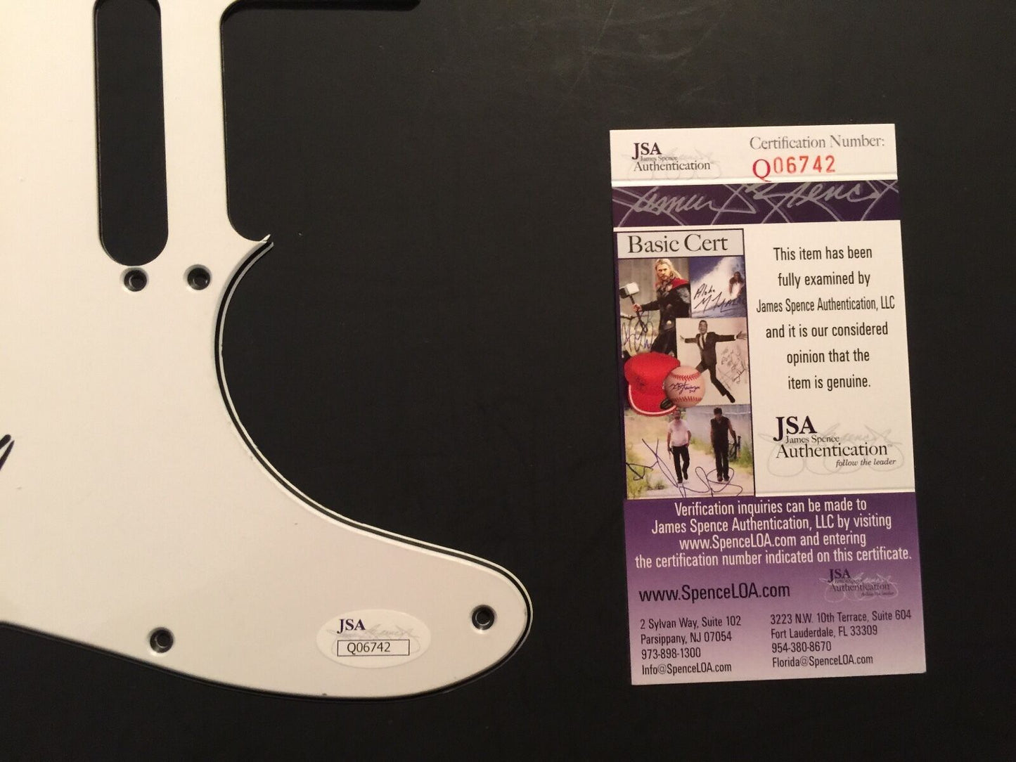 Steven Adler Guns n Roses Autograph Signed Stratocaster Guitar Pickguard JSA