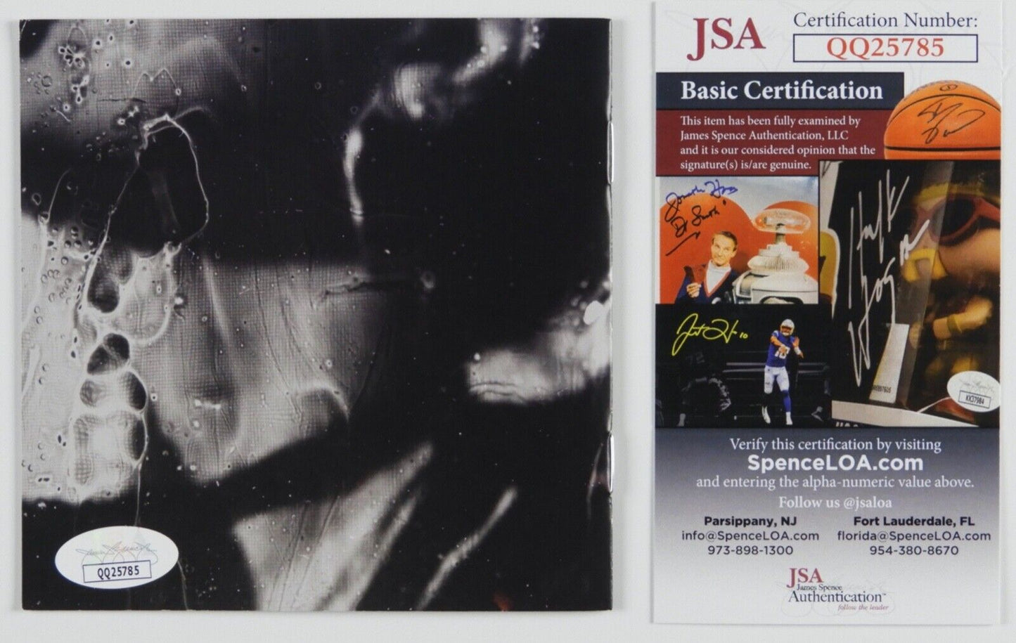 Amy Lee Evanescence JSA Signed Autograph CD The Bitter Truth