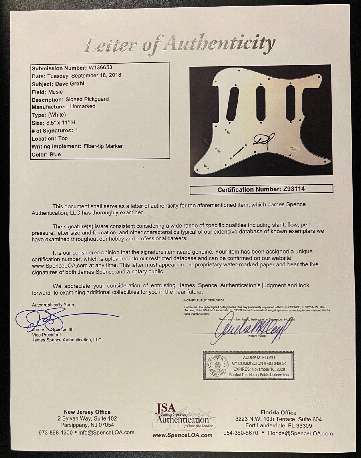 Dave Grohl Nirvana Foo Fighters JSA Autograph Signed Guitar Stratocaster