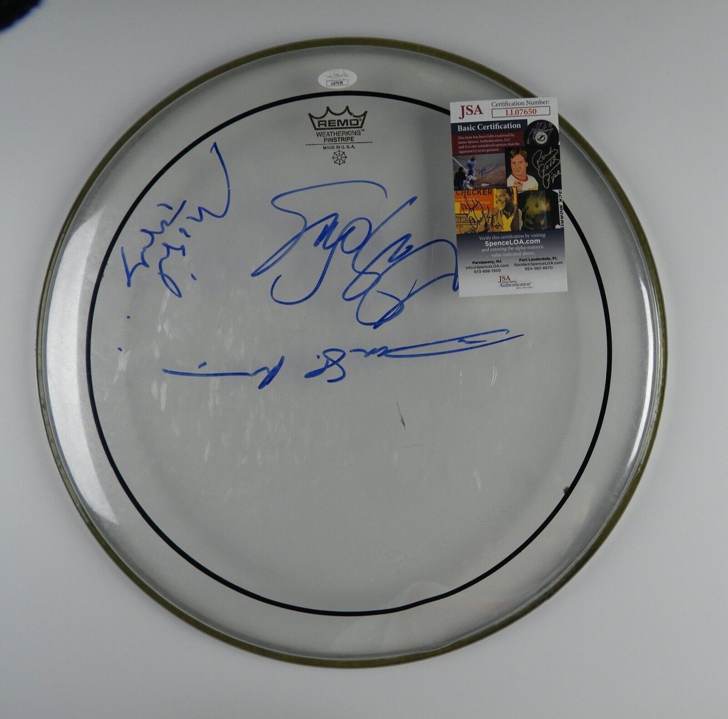 Spinal Tap Stage Used Autograph Signed Drum Head JSA COA 16" Michael McKean