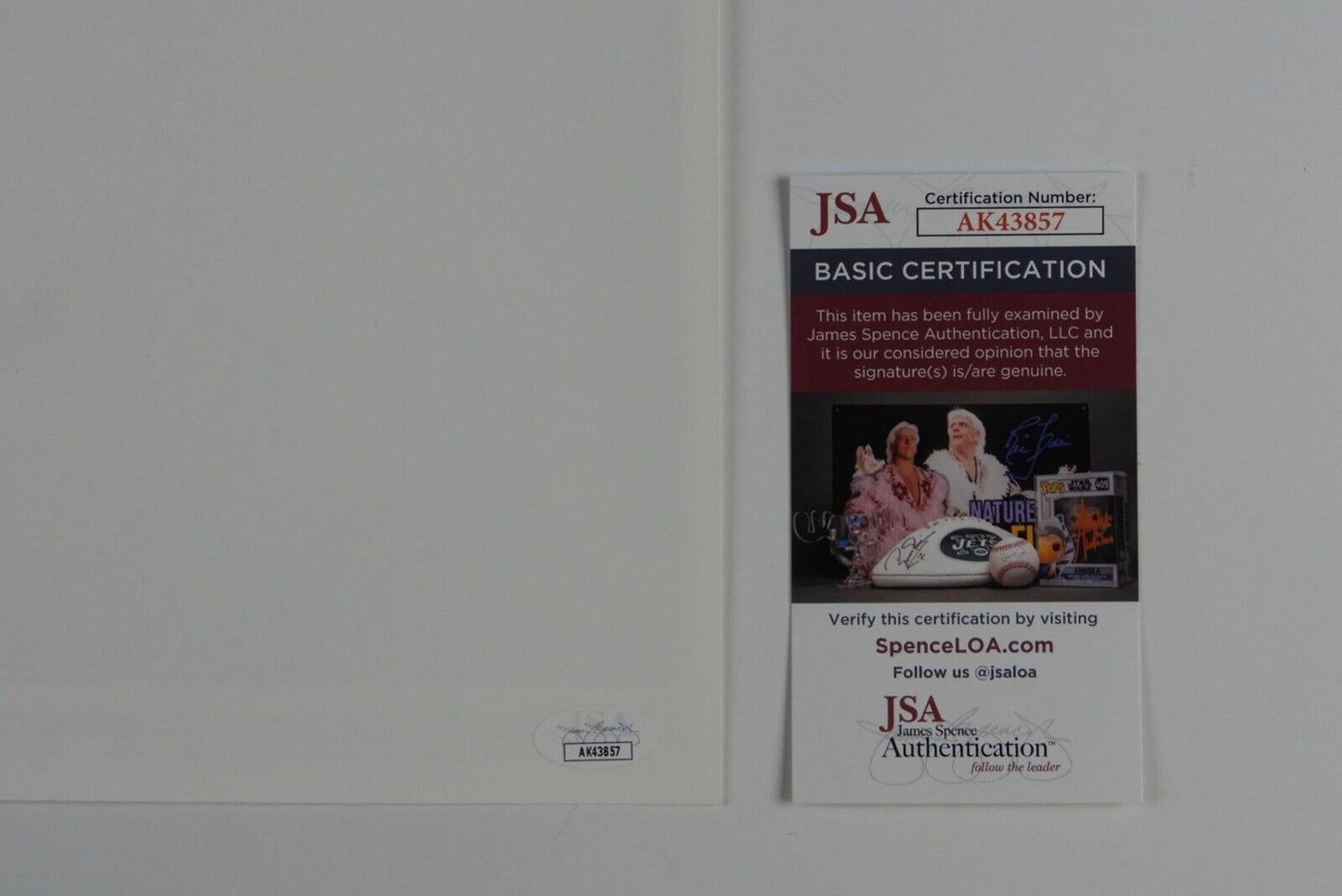 Gary Busey JSA Signed Autograph Photo 8 x 10 The Buddy Holly Story