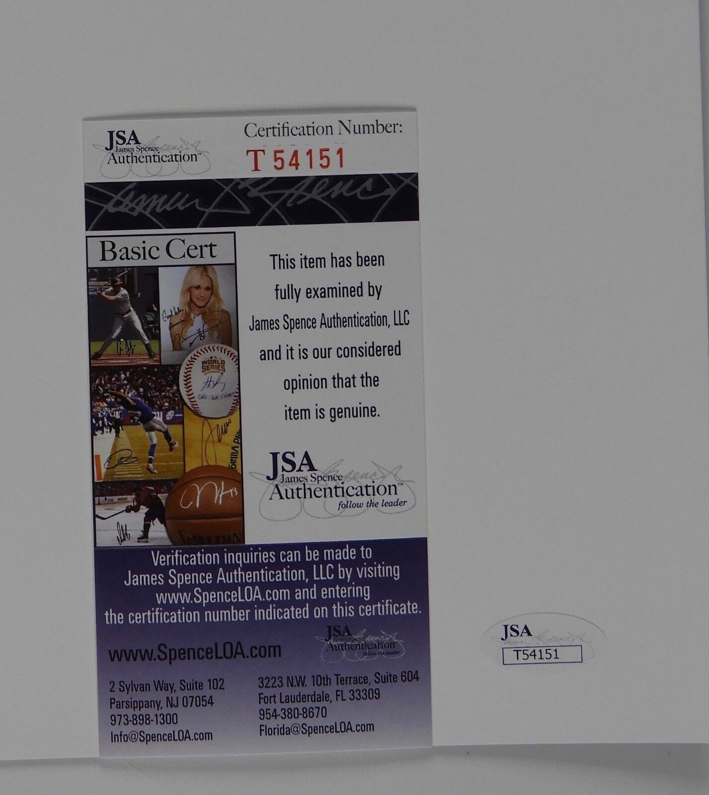 Camren Bicondova JSA Catwoman Selina Gotham JSA Autograph Signed Photo 11 x 14