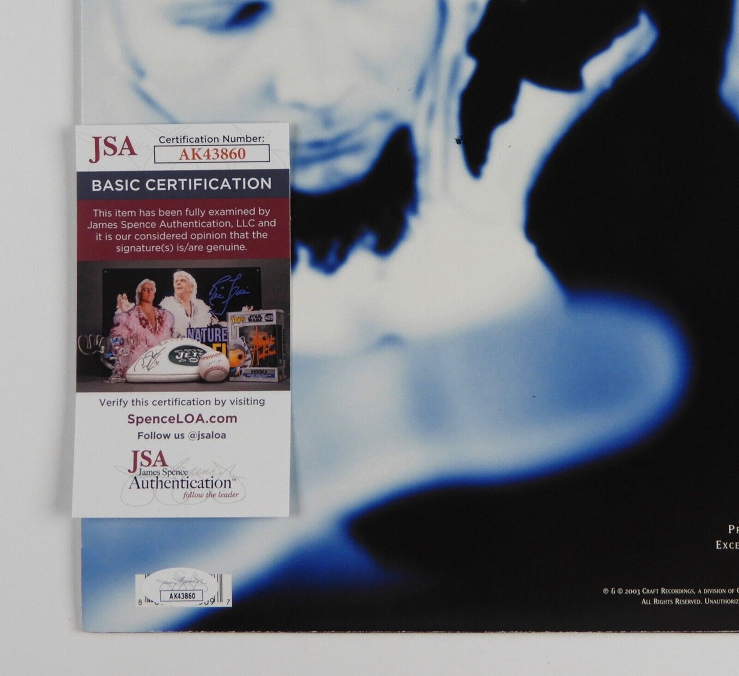 Evanescence Amy Lee JSA Signed Autograph Album Record Fallen