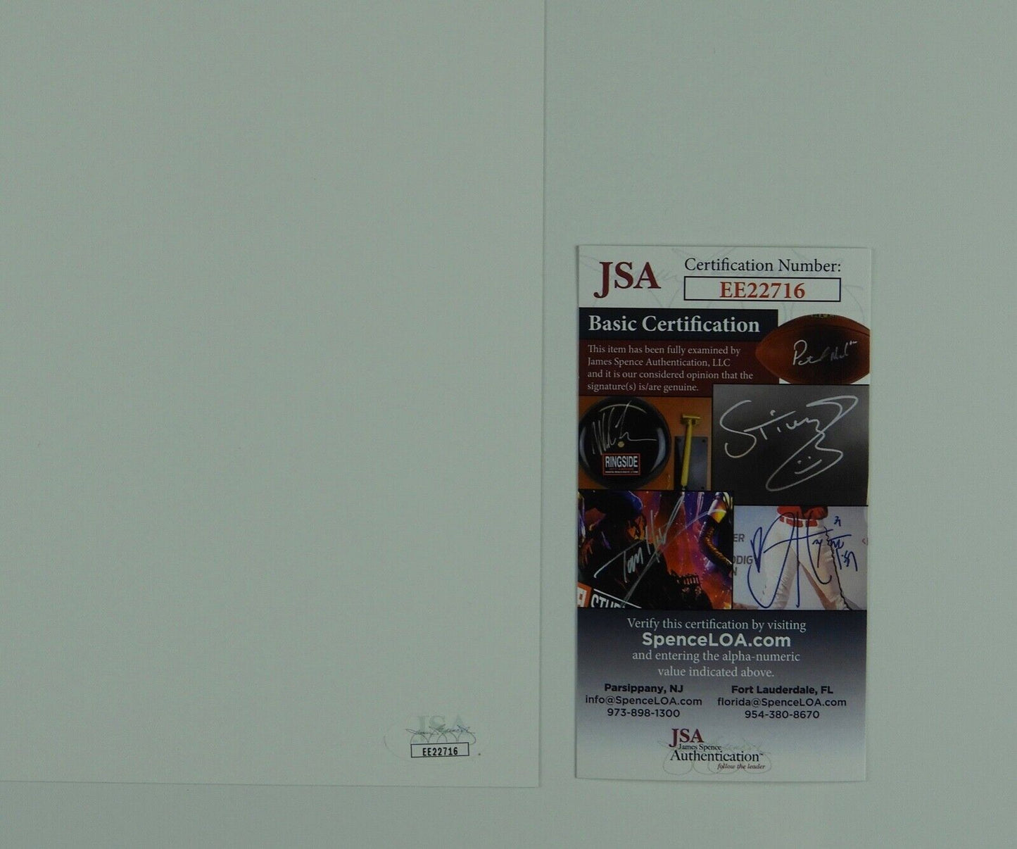 Violett Beane Jessie Quick the Flash Signed Autograph JSA COA 8 x 10