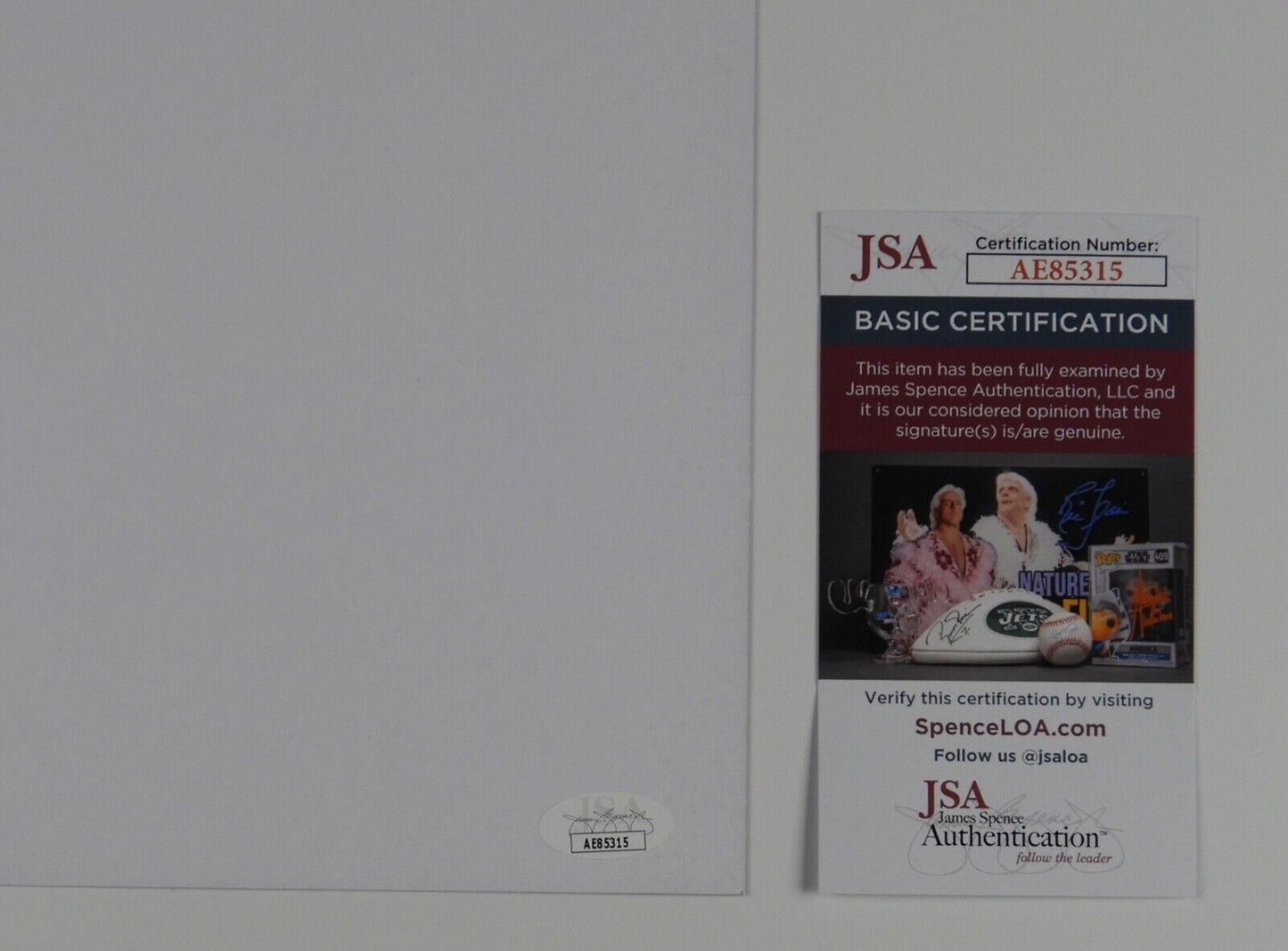 Holly Humberstone JSA Signed Autograph 10" Album Lithograph The Walls Are Way