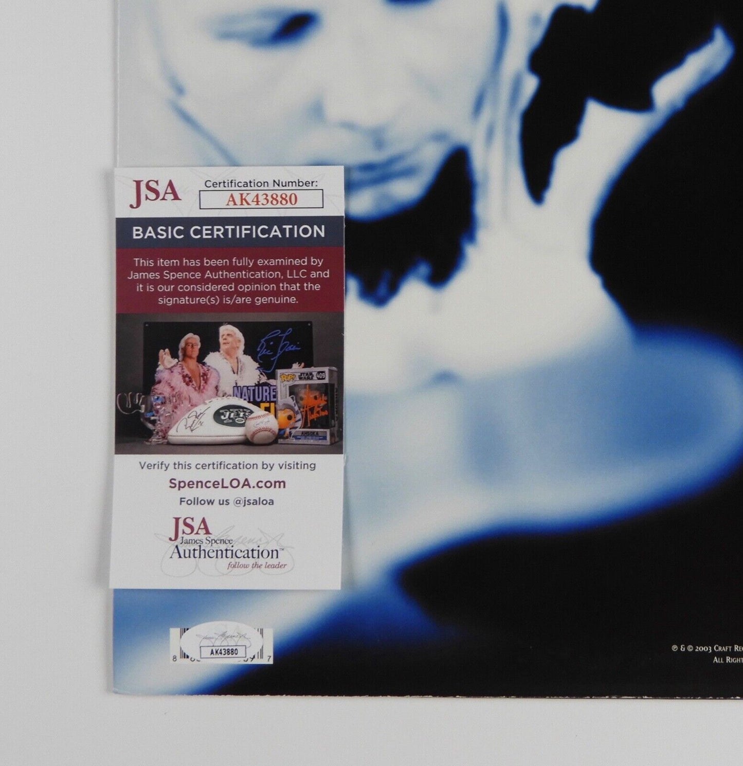 Evanescence Amy Lee JSA Signed Autograph Album Record Fallen