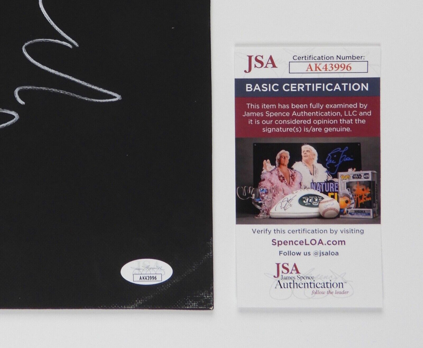 Iron Maiden Derek Riggs JSA Autograph Signed Original Sketch Eddie canvas board