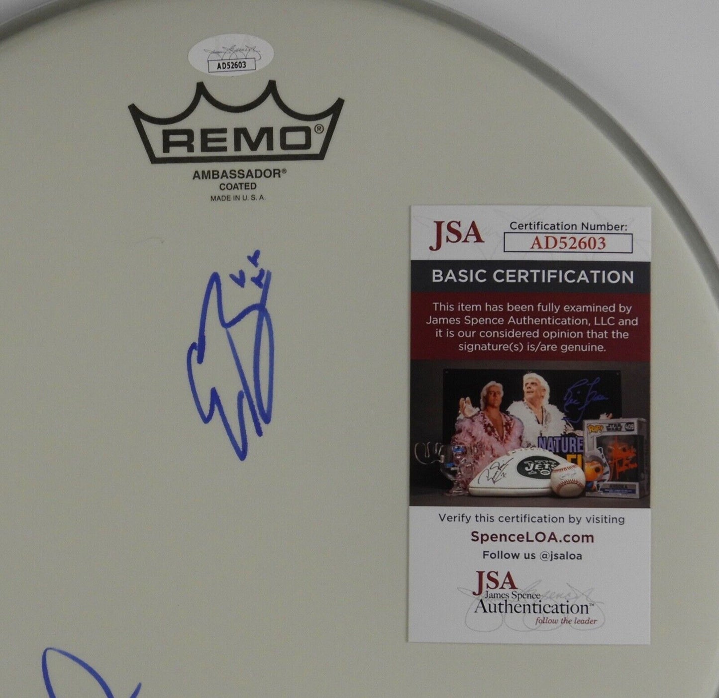 Black Pumas JSA Signed Autograph Drum Head Adrian Quesada Eric Burton