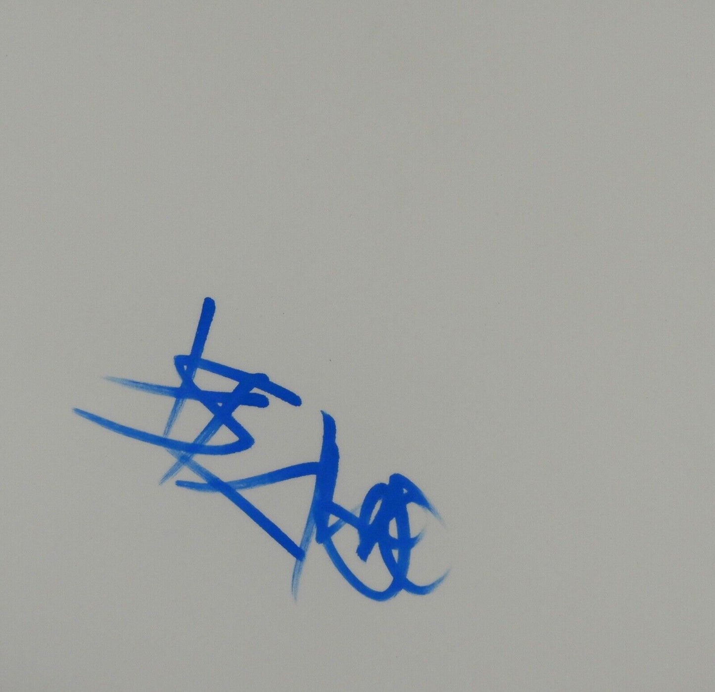 Travis Baker JSA Autograph Signed Drum Head COA 14" Blink 182