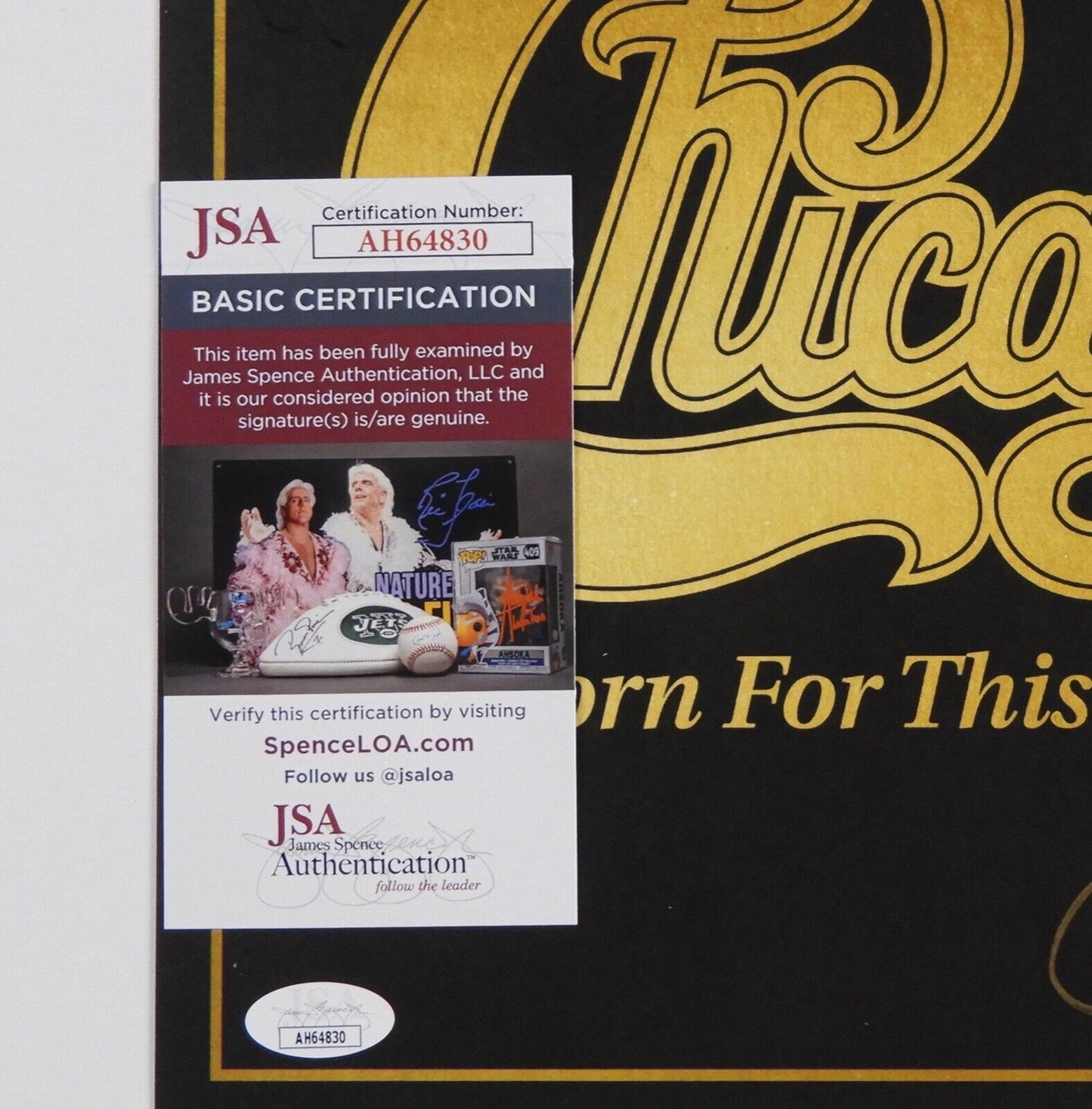 Chicago JSA Autograph Signed Lithograph Born For This Moment