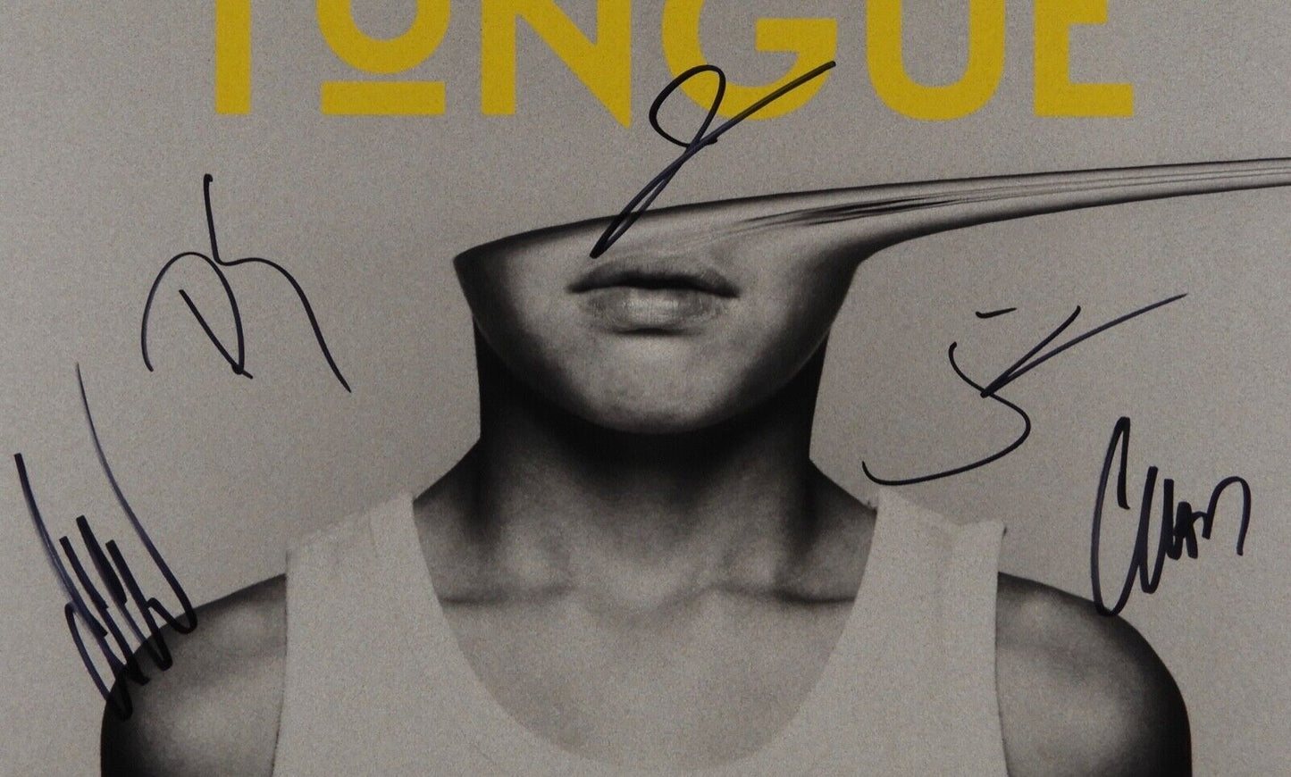 Switchfoot Fully Signed JSA Autograph Signed Album Record Native Tongue