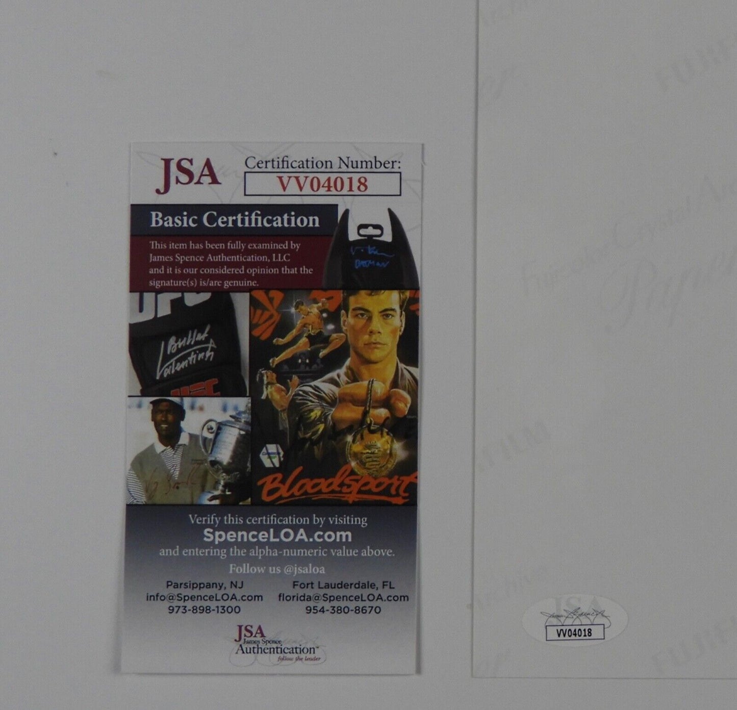 Bella Thorne JSA Autograph Signed Photo 8 x 10