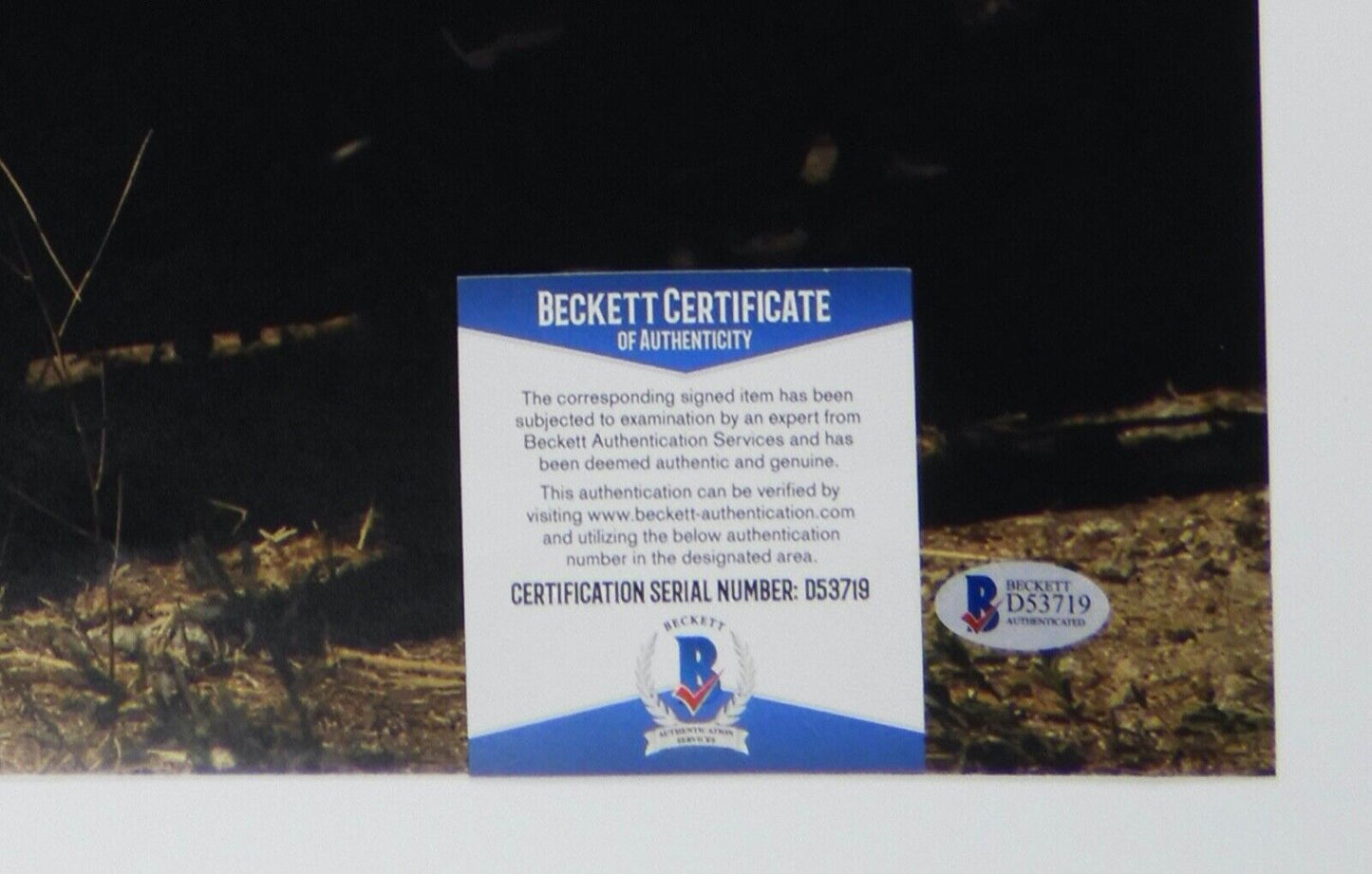 Katey Sagal Autograph Beckett 16 x 20 Signed Photo Sons of Anarchy