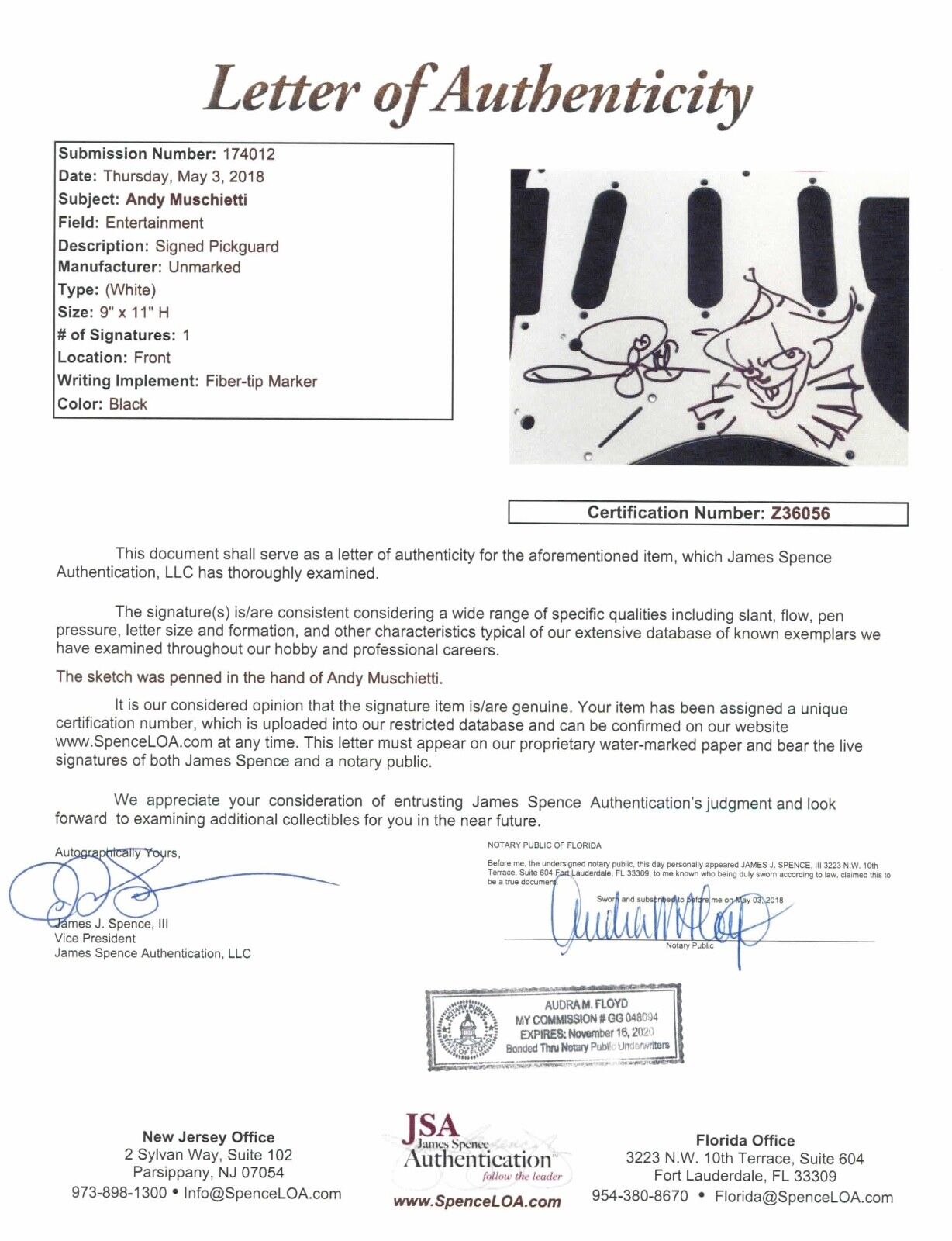 It Movie Autograph Andy Muschietti Signed Guitar Fender Stratocaster Squier JSA