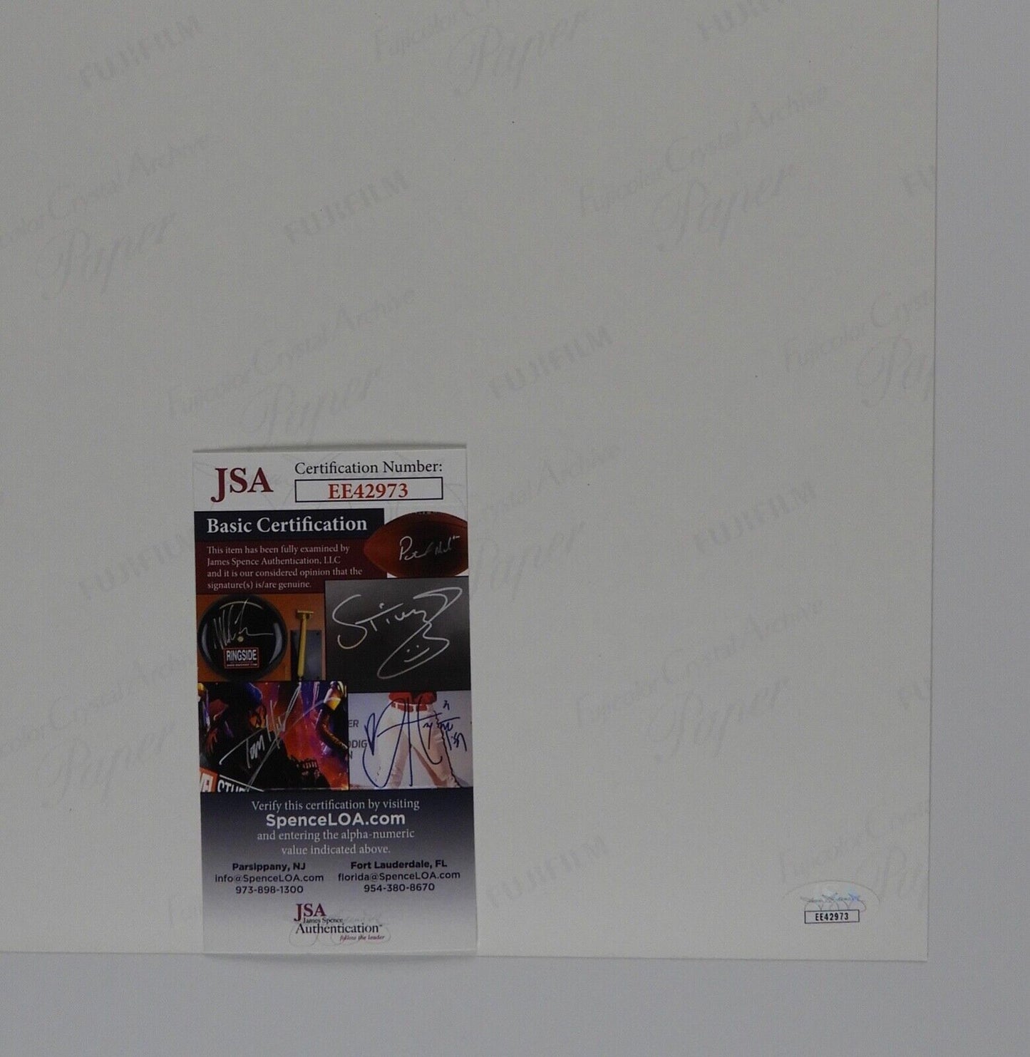 Star Trek IV George Takei Autograph JSA 12 x 18 Signed Photo