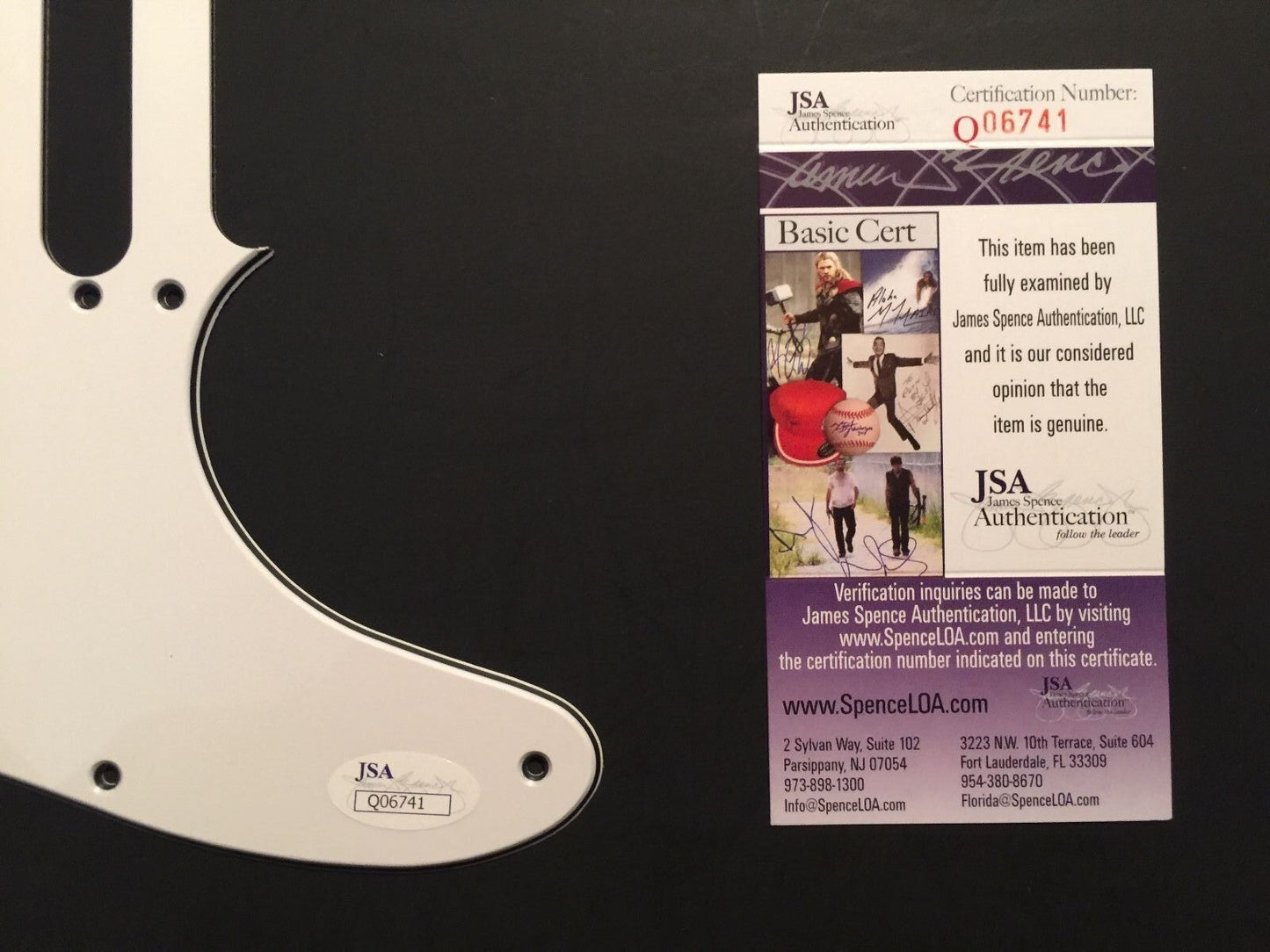 Steven Adler Guns n Roses Autograph Signed Stratocaster Guitar Pickguard JSA