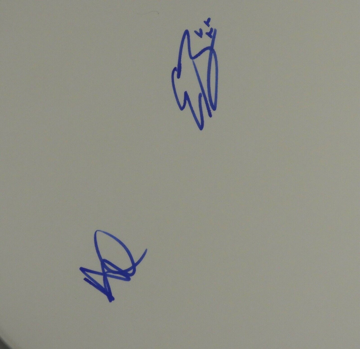 Black Pumas JSA Signed Autograph Drum Head Adrian Quesada Eric Burton