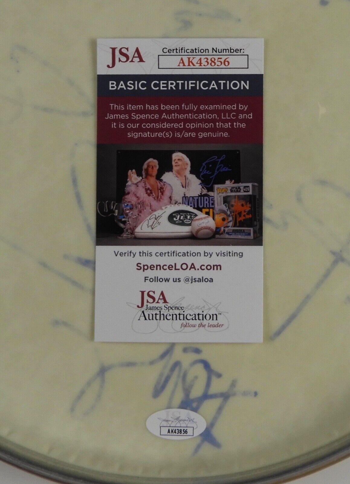 Los Lobos Fully Autograph Signed Drum Head JSA COA 12"