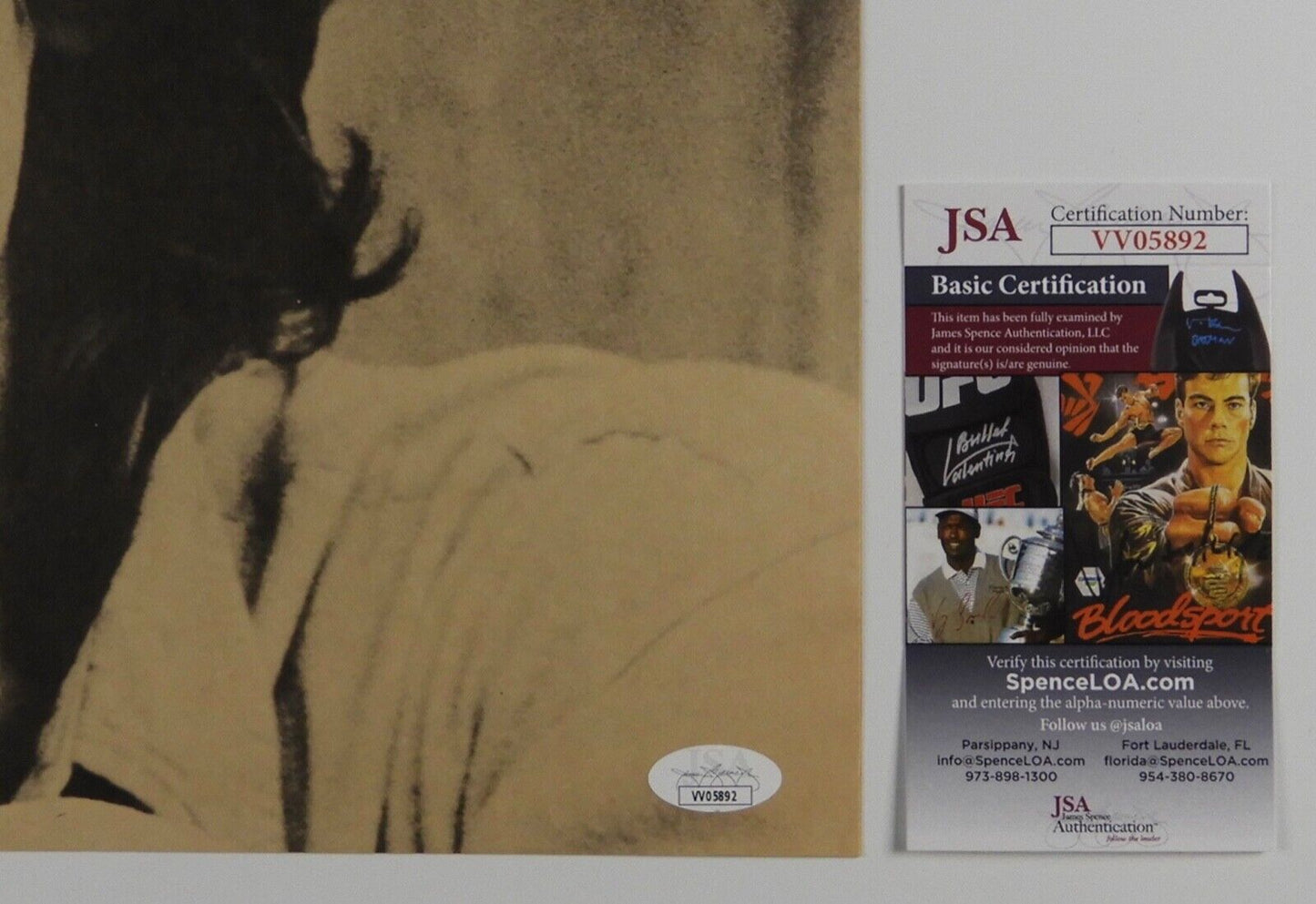 James Taylor JSA Signed Autograph Record Album Insert 24" x 12"