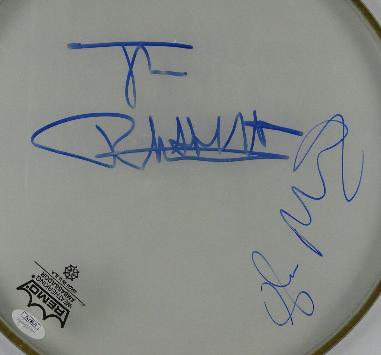 The Sex Pistols Autograph Signed Drum Head JSA COA 12" Johnny Rotten Glenn