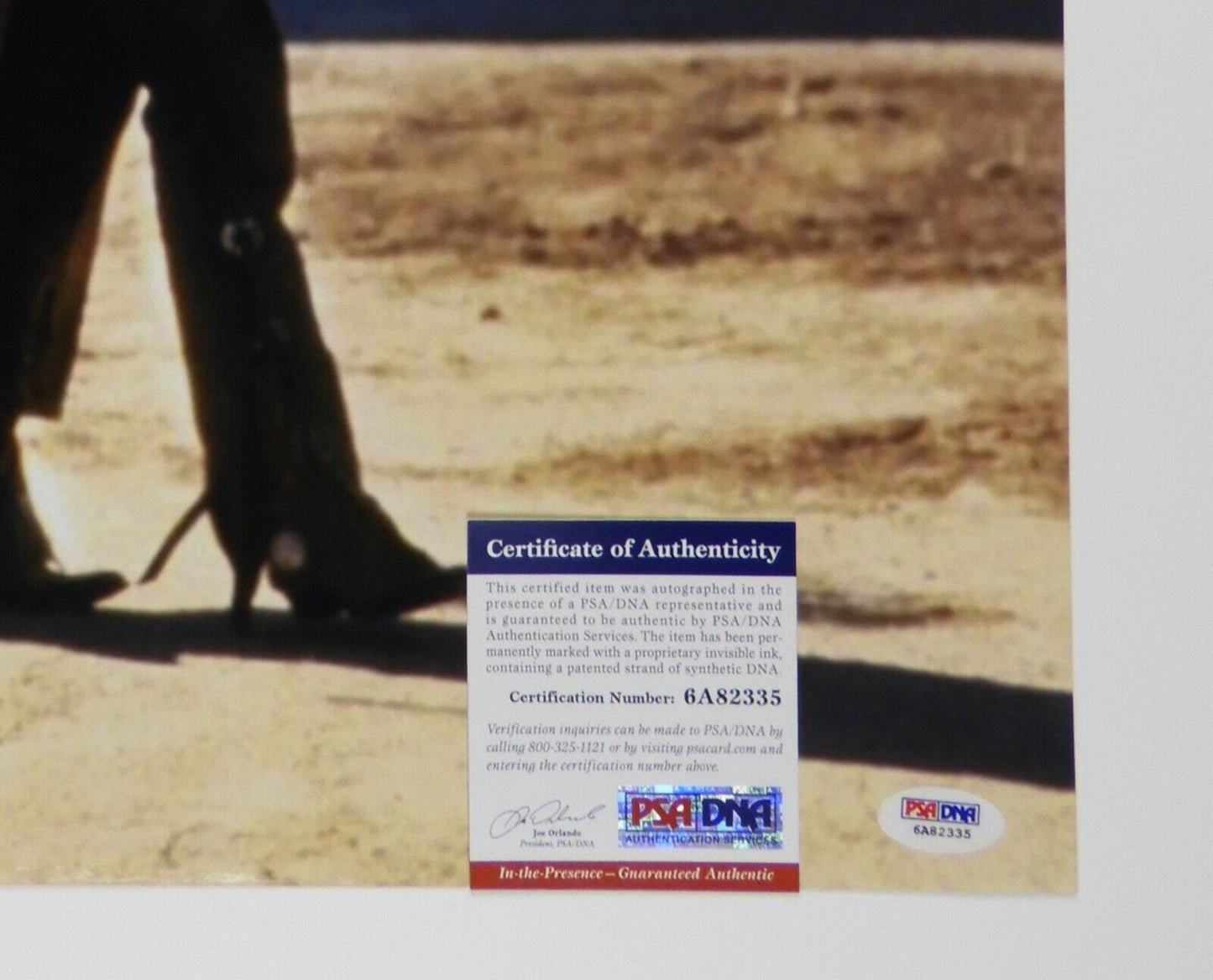 Sharon Stone Autograph PSA 16 x 20 Signed Photo