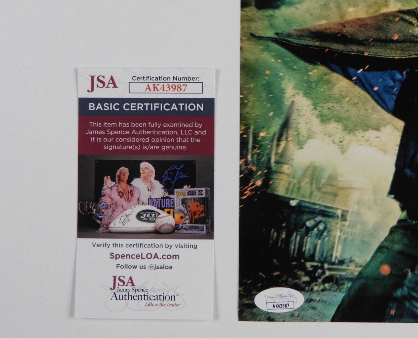 Daniel Radcliffe JSA Signed Autograph 8 x 10 Photo Harry Potter