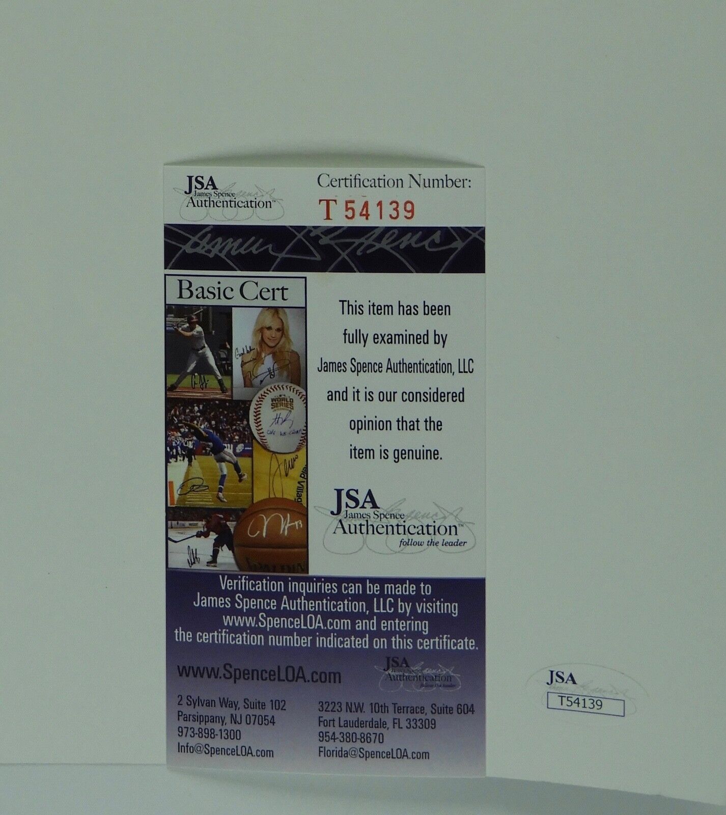 Fear The Walking Dead Madison Cast Autograph Signed Photo JSA 11x14