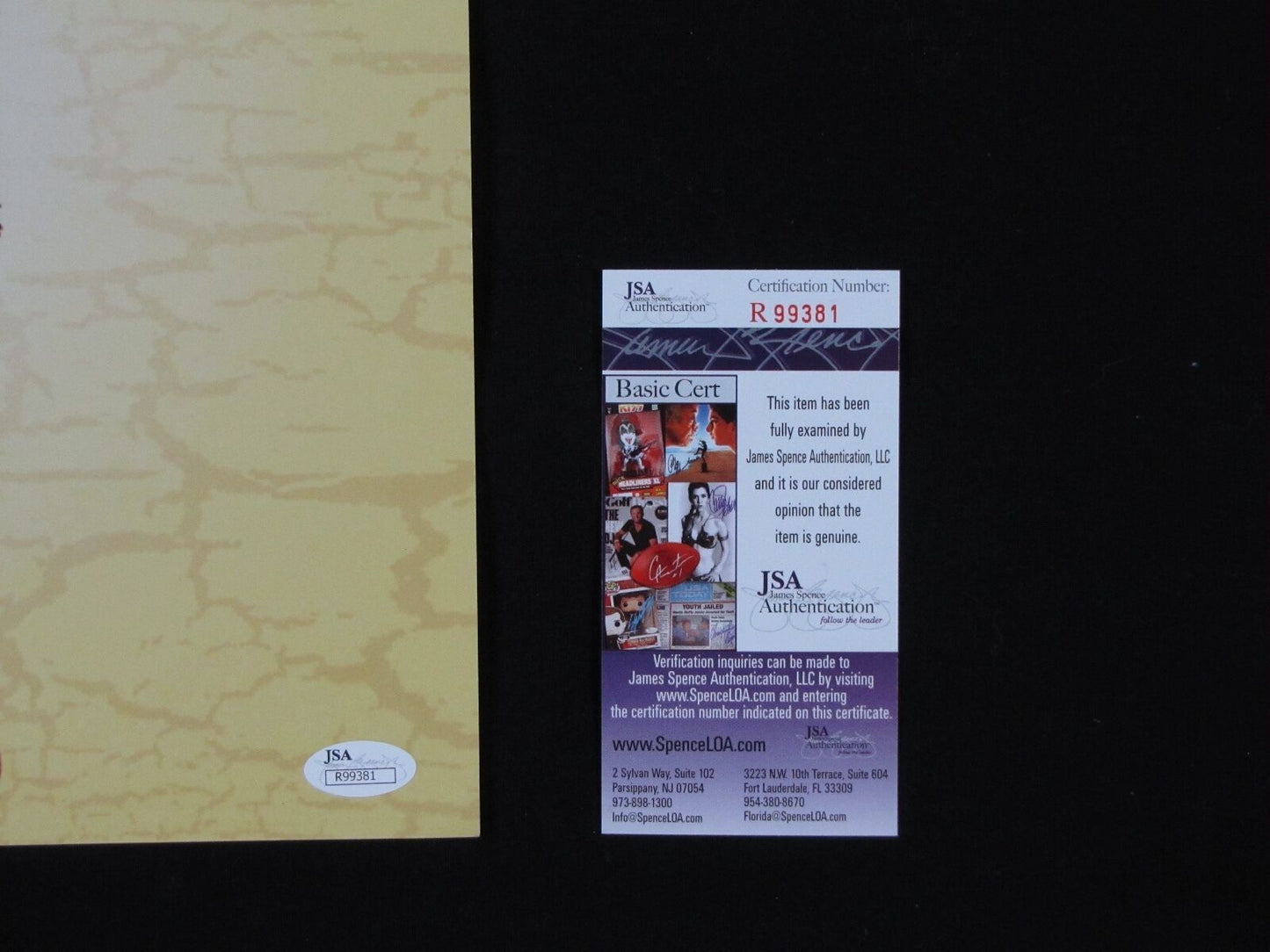 Dave Grohl Nirvana JSA 12 x 12 Photo Signed Autographed In Utero