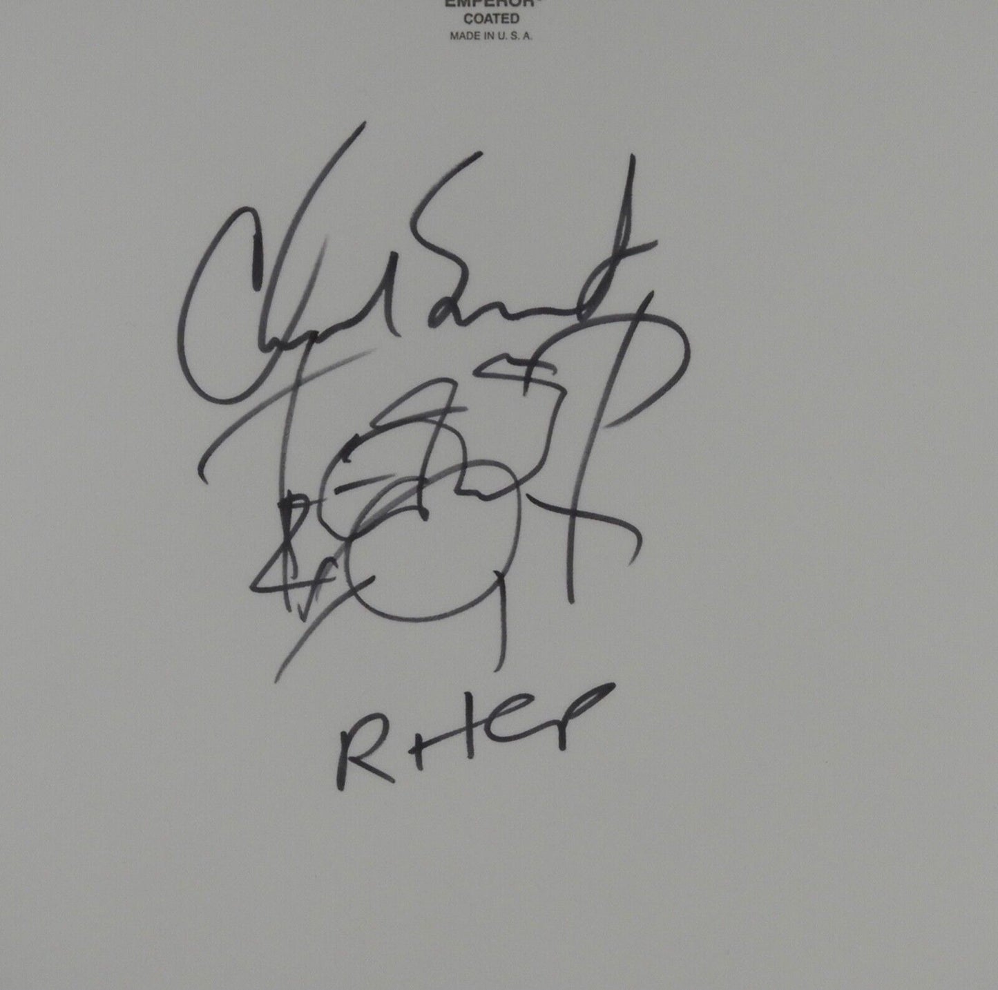 Chad Smith Red Hot Chili Peppers JSA Autograph Signed Drum Head 12" Drawing