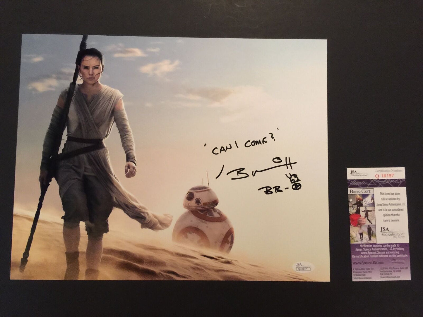 Star Wars BB8 Brian Herring Photo Autograph Signed JSA 11x14