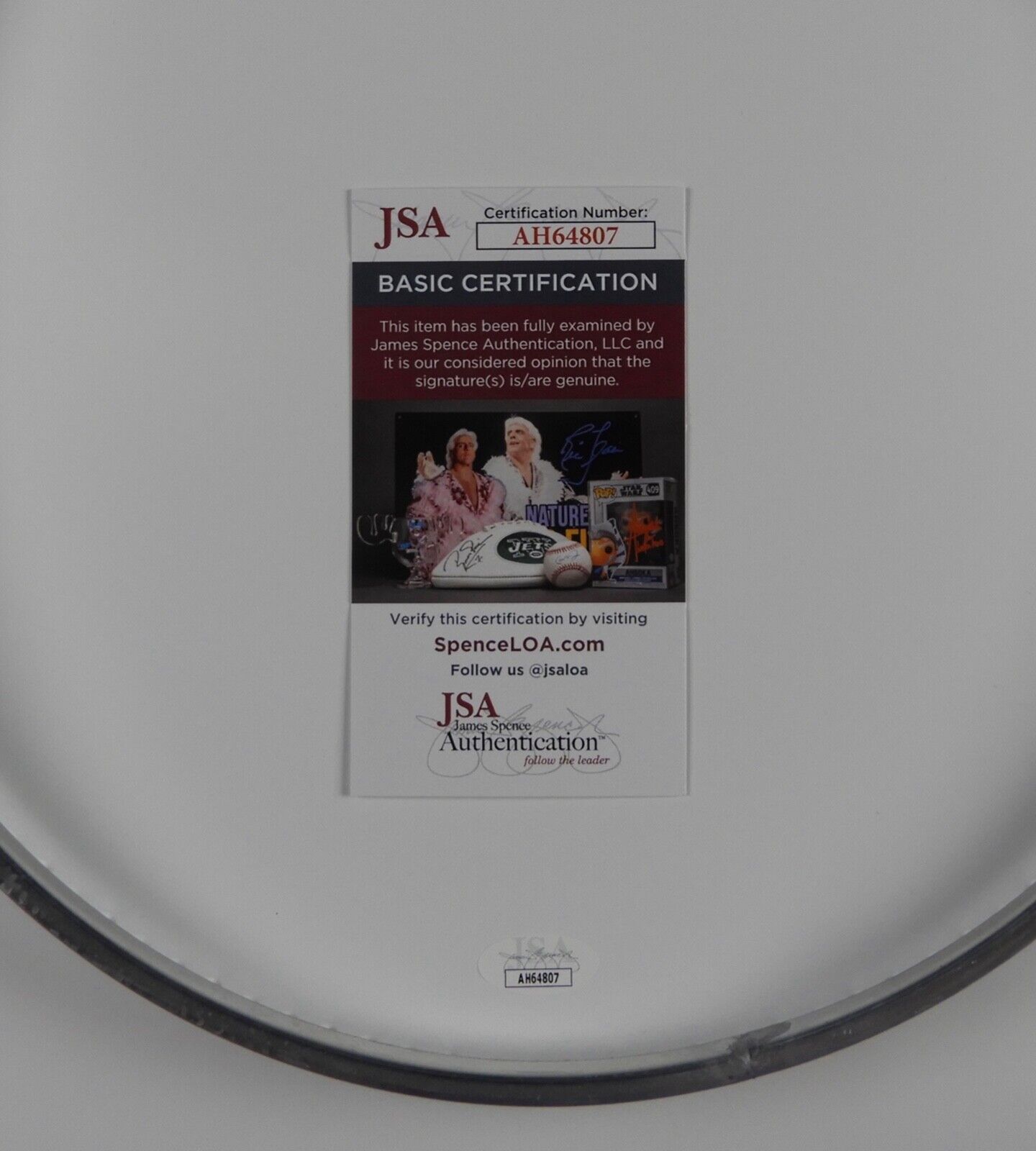 The Tea Party JSA Autograph Signed Drum Head 12" Jeff Martin Stuart Chatwood +