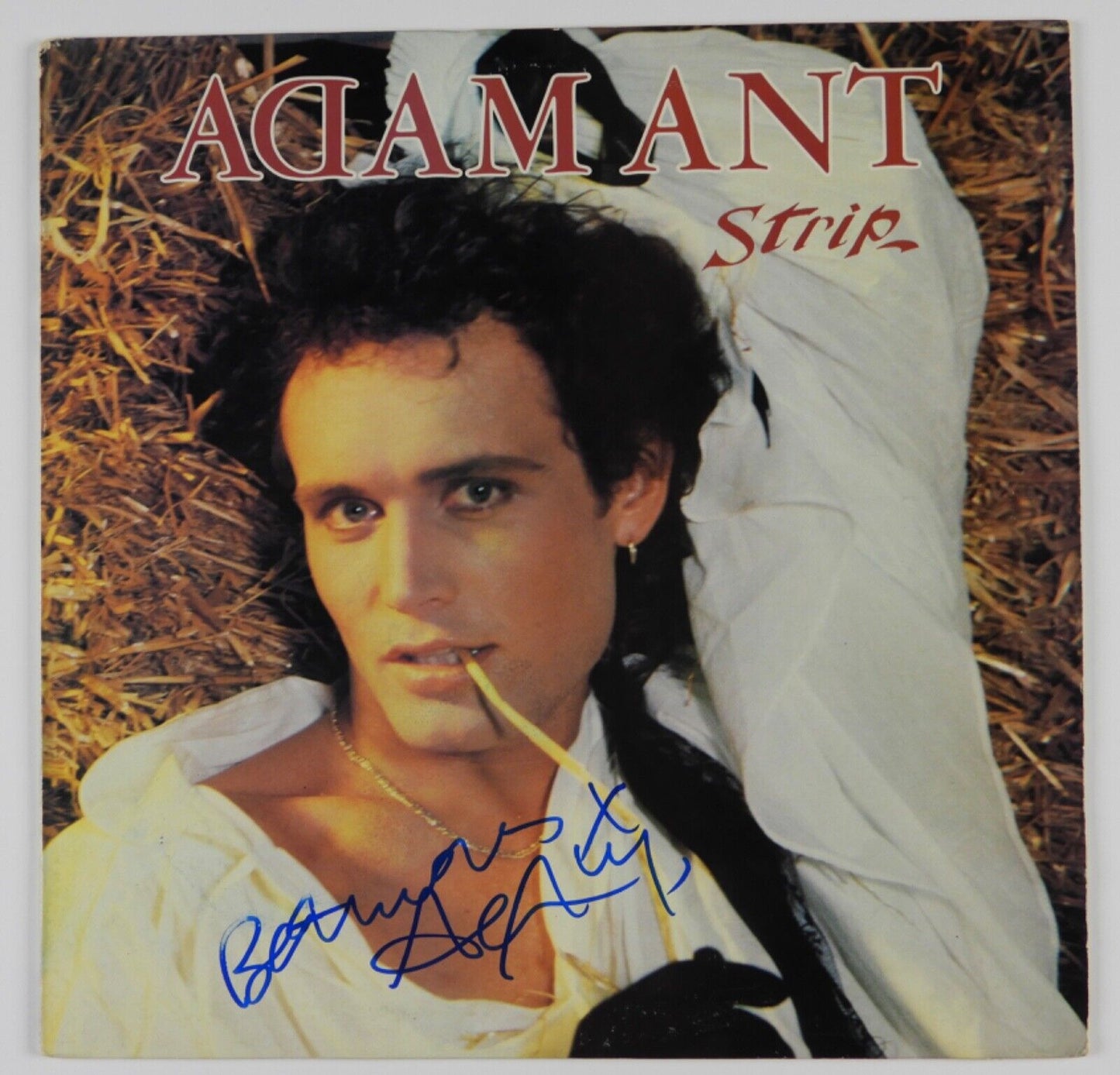 Adam Ant JSA Signed Autograph Album Vinyl Record Strip