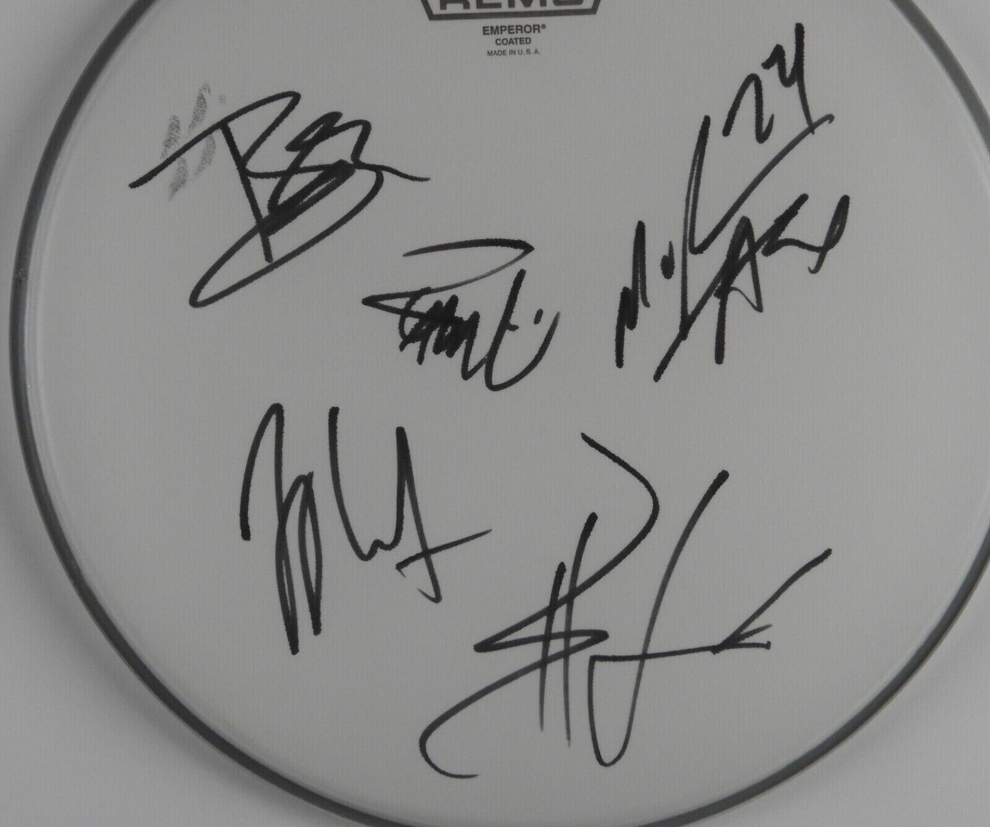 Avenged Sevenfold Fully Signed Autograph Drum Head REAL Epperson COA 12"